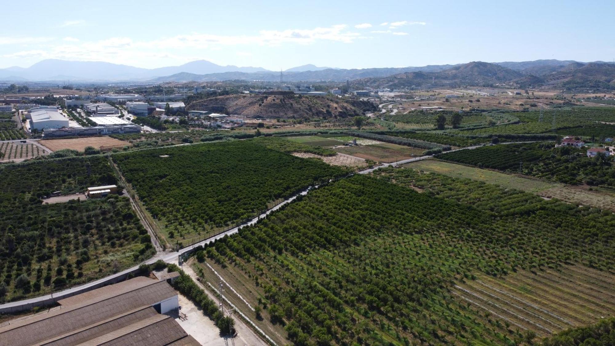 马拉加Complejo Rural Lo Arrabal别墅 外观 照片